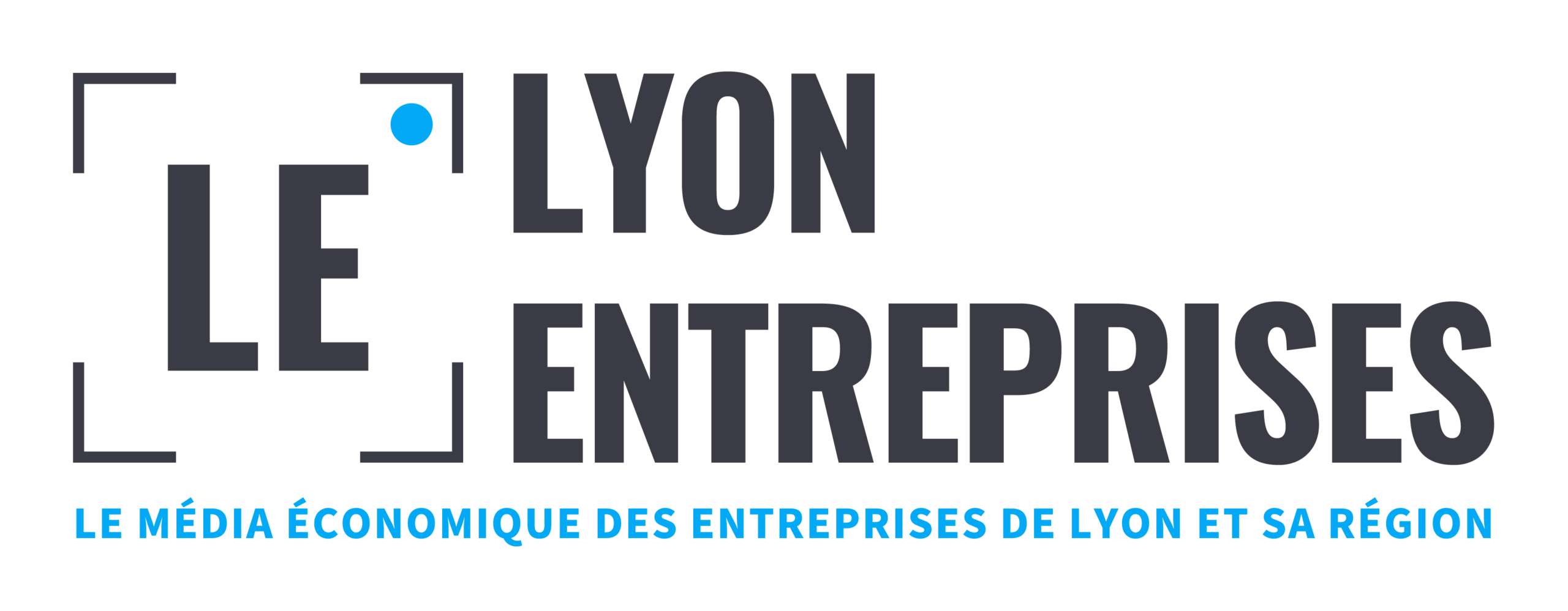 Logo Lyon Entreprises